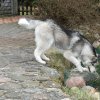 Foto01